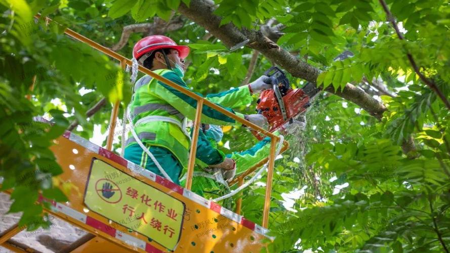 绿化工程如何应用于城市智慧化和可持续发展的蓝图和愿景实现？