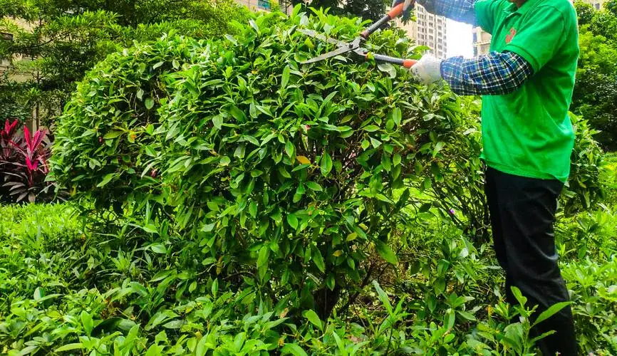 河道绿化工程报价单