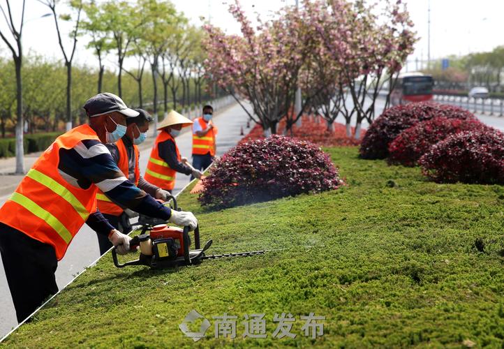 现场园林景观设计